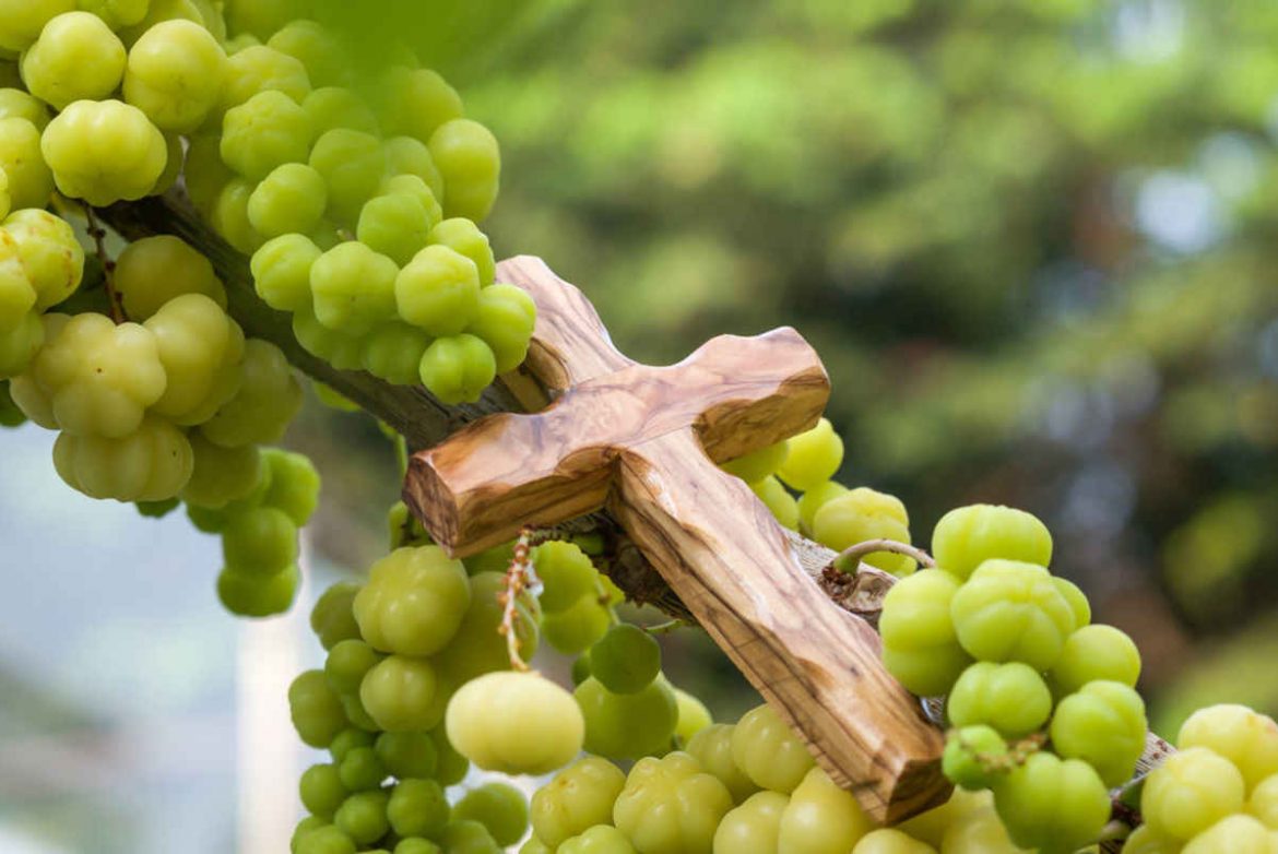 Fruitfulness Harvest Scarf- Grapes Delight