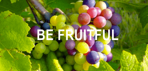 Fruitfulness Part 2