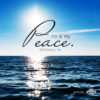 God's Peace Brings Reconciliation