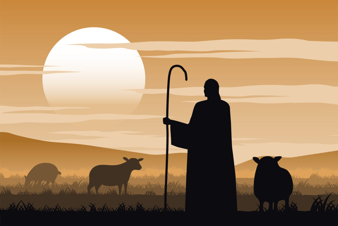 Shepherding with The Good Shepherd