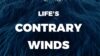 Contrary Winds